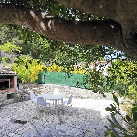 Bas De Villa Au Calme Villeneuve-Loubet Eksteriør bilde