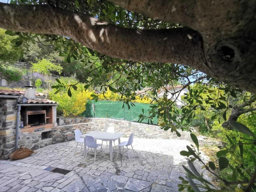 Bas De Villa Au Calme Villeneuve-Loubet Eksteriør bilde